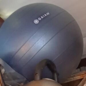 GAIAM Navy Fitness Ball